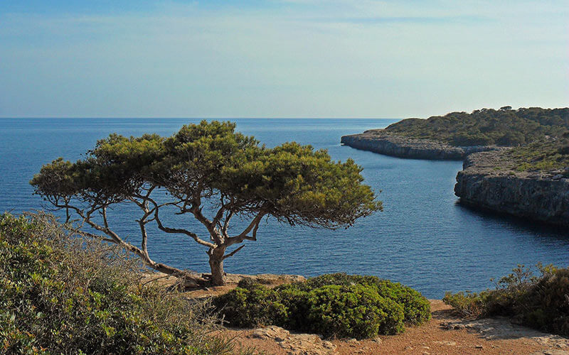 Mallorca Küste